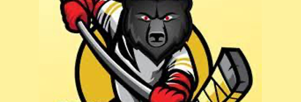 Black Bears Sports Group Launches DuPage Black Bears Boys and Girls ...